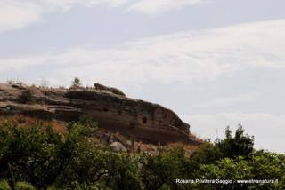 lazzelli-03-08-2015 09-36-11